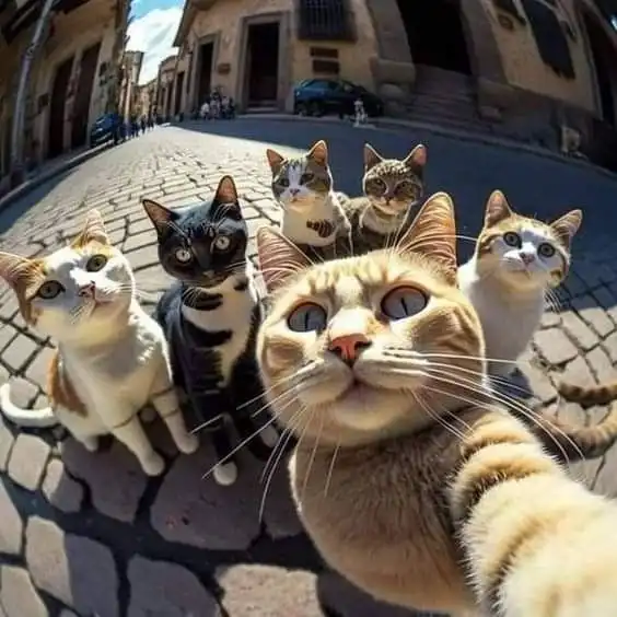 group dp for whatsapp